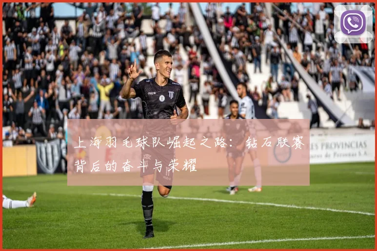上海羽毛球队崛起之路：钻石联赛背后的奋斗与荣耀