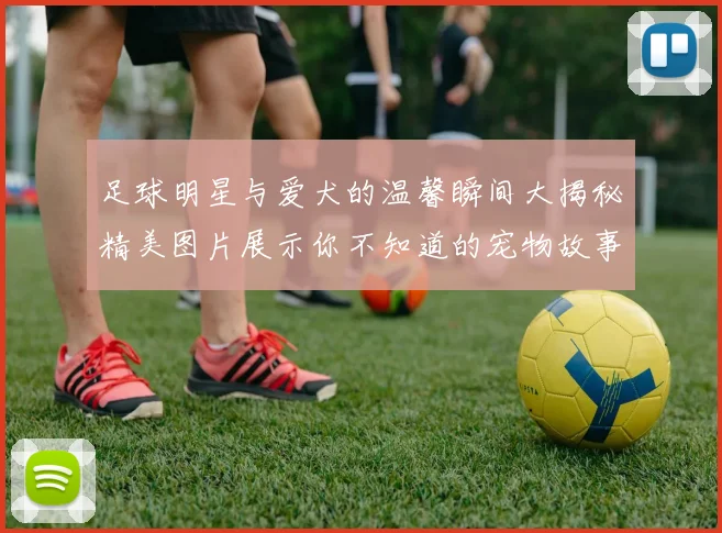 足球明星与爱犬的温馨瞬间大揭秘精美图片展示你不知道的宠物故事