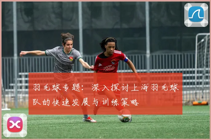 羽毛球专题：深入探讨上海羽毛球队的快速发展与训练策略