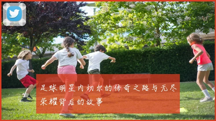 足球明星内切尔的传奇之路与无尽荣耀背后的故事