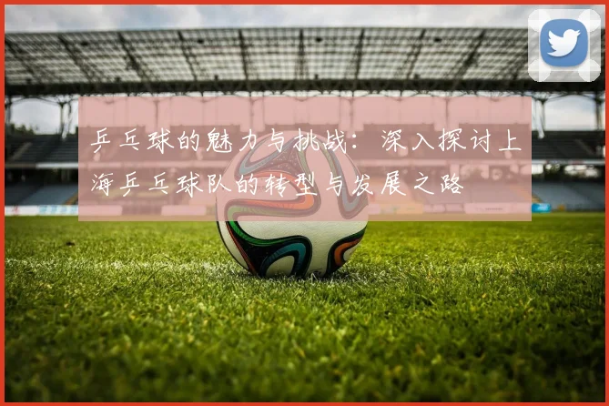 乒乓球的魅力与挑战：深入探讨上海乒乓球队的转型与发展之路