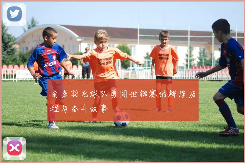 南京羽毛球队勇闯世锦赛的辉煌历程与奋斗故事