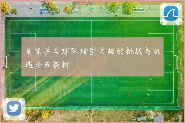 南京乒乓球队转型之路的挑战与机遇全面解析