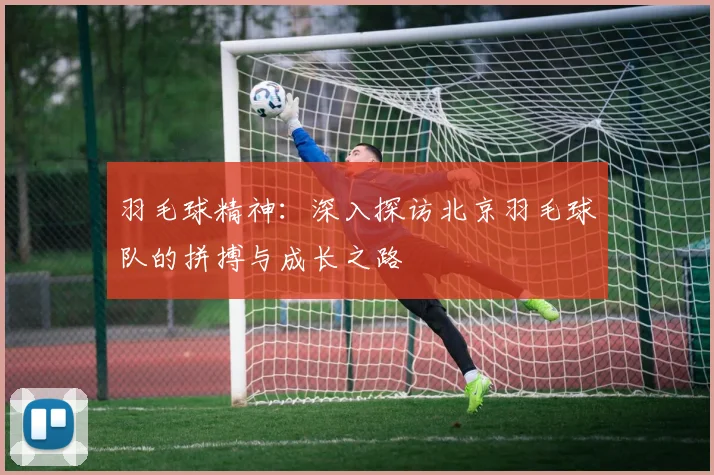 羽毛球精神：深入探访北京羽毛球队的拼搏与成长之路